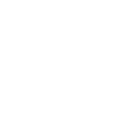 icon-check-circle-solid